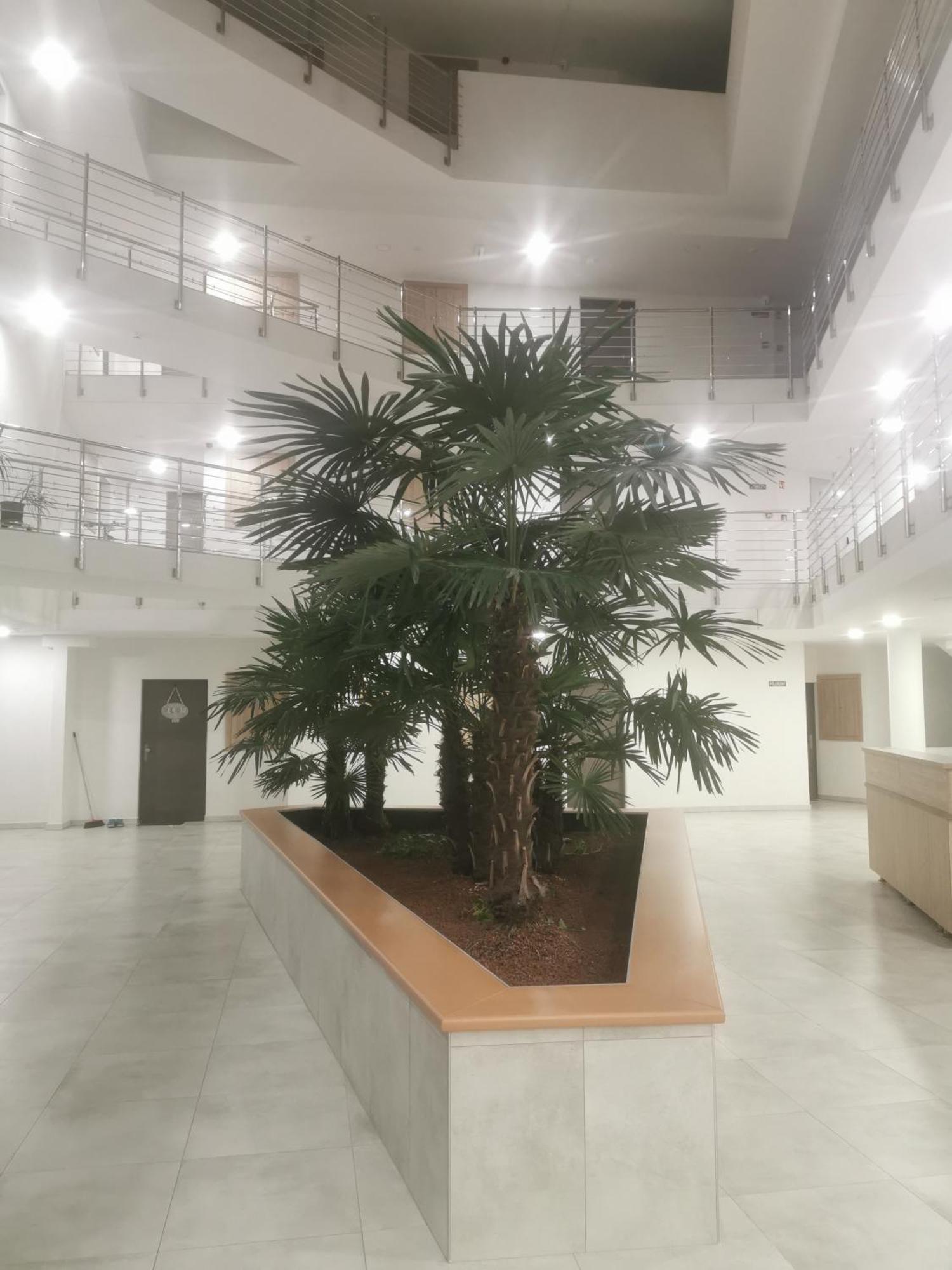 Beli Apartman Melygarazzsal Hévíz Esterno foto